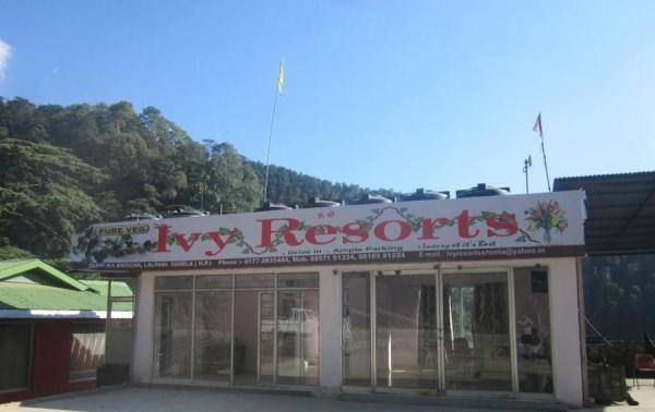 Ivy Resorts, Shimla 4